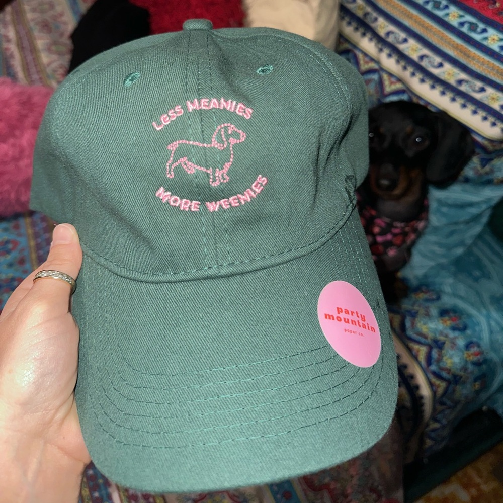 Less Meanies More Weenies Dad Cap